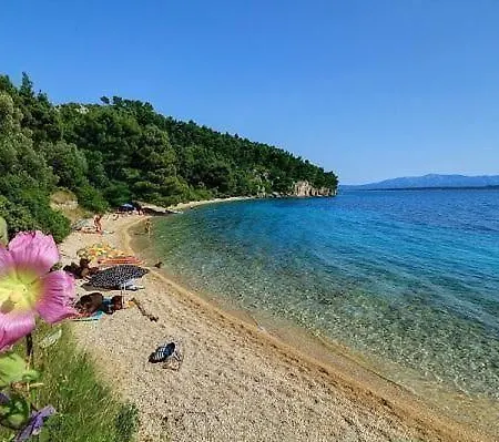 Strandnahes Zorra Mit Garten Semesterbostad *